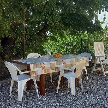 Appartamento Bellavista Castellina Marittima Zewnętrze zdjęcie