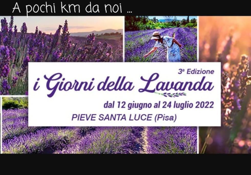 Appartamento Bellavista Castellina Marittima Zewnętrze zdjęcie